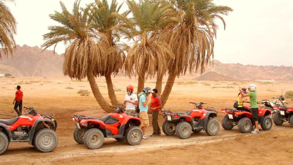 Quad Bike Desert Adventure - Image 4